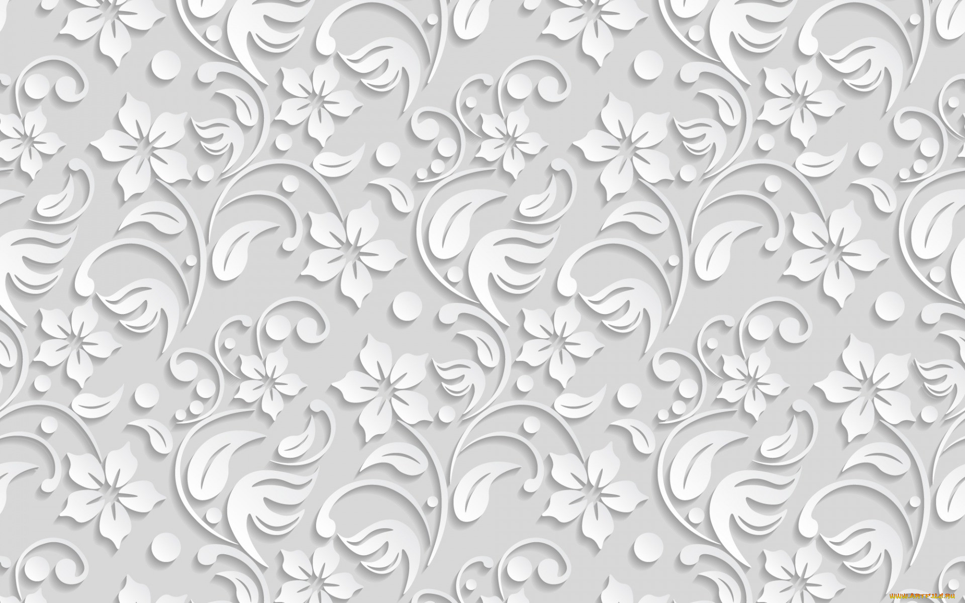  ,  , flowers, , background, flower, white, pattern, 